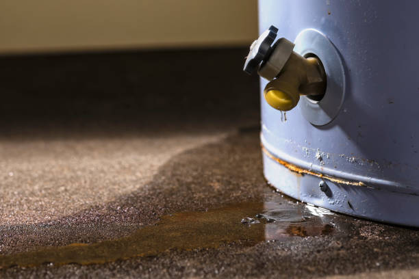 Best Water damage contractors near me  in Bridgeport, TX