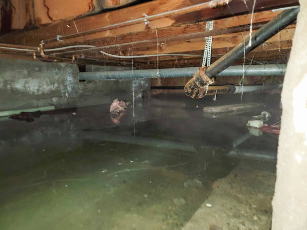  Bridgeport, TX Water damage restoration Pros