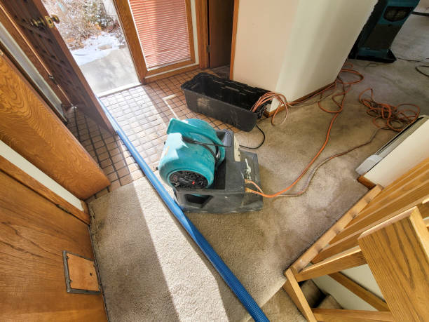  Bridgeport, TX Water damage restoration Pros