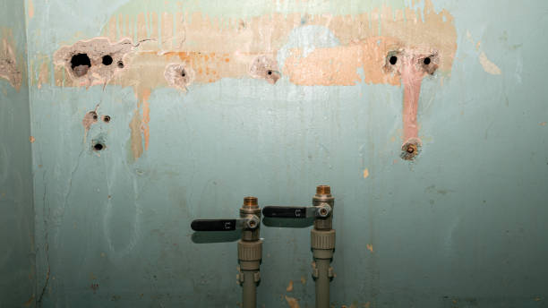 Best Water damage restoration near me  in Bridgeport, TX