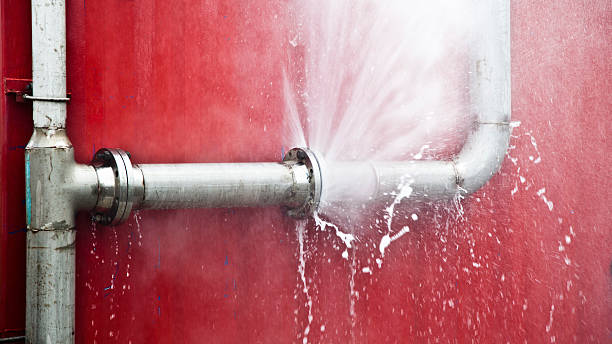 Best Water damage mitigation services  in Bridgeport, TX